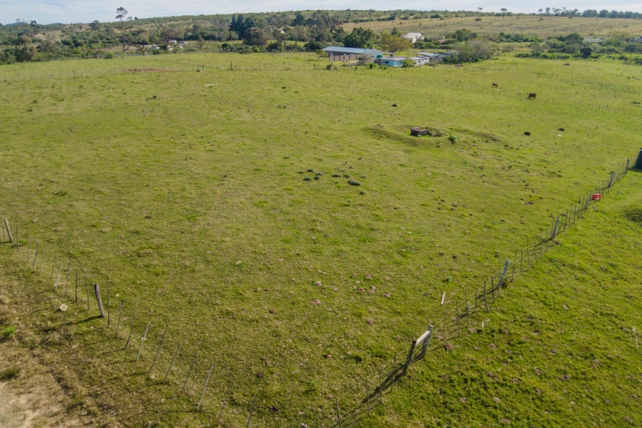 0 Bedroom Property for Sale in Alexandria Eastern Cape